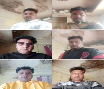 Member Profile